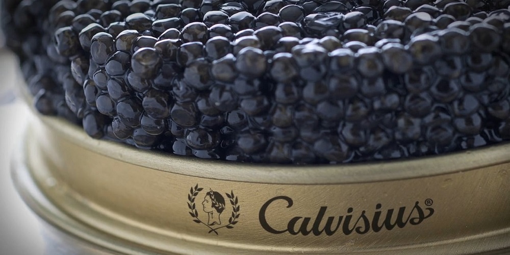 ارزش بالای خاویار بخاطر چیست ؟ - دانستنی های ورزشی ارزش بالای خاویار بخاطر چیست ؟