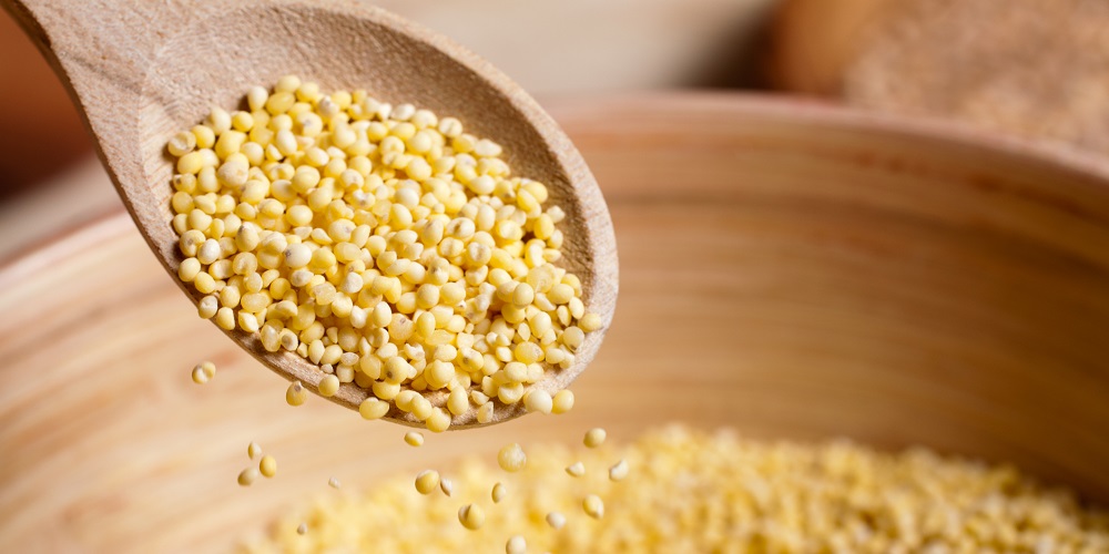 از خواص دانه ارزن چه می دانید ؟ - دانستنی های ورزشی از خواص دانه ارزن چه می دانید ؟