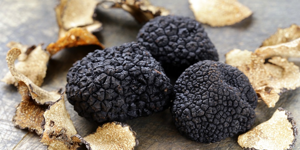 از قارچ دنبلان چه میدانید ؟ - دانستنی های ورزشی از قارچ دنبلان چه میدانید ؟