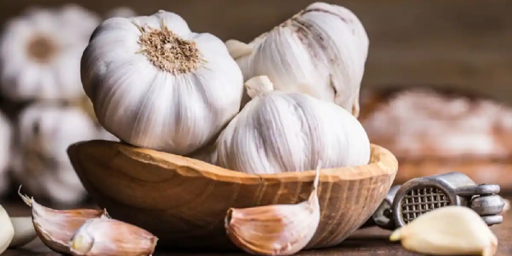 این همه خاصیت در حبه سیر - دانستنی های ورزشی این همه خاصیت در حبه سیر