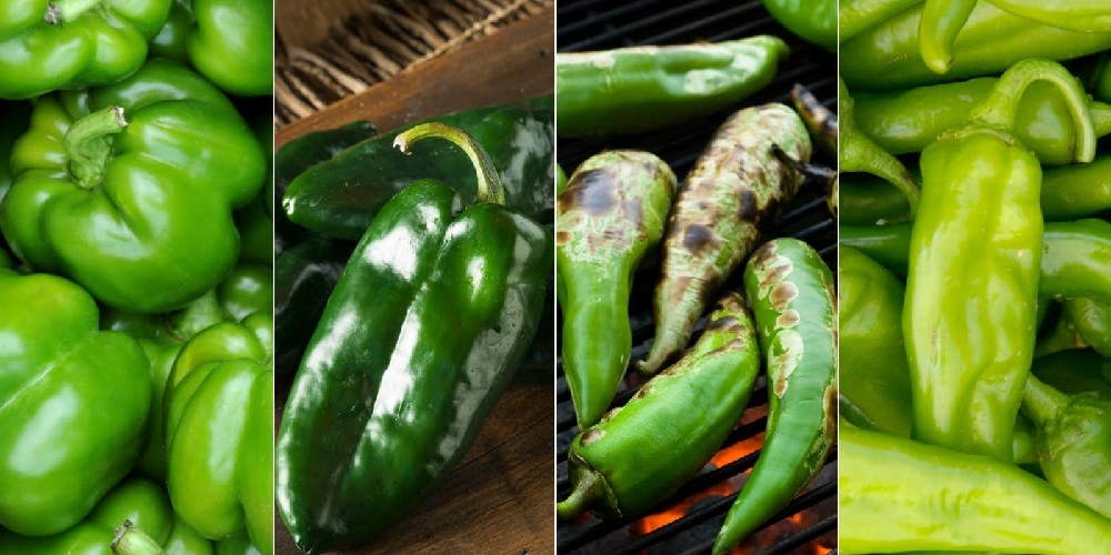 تند و پرخاصیت / فلفل سبز - دانستنی های ورزشی تند و پرخاصیت / فلفل سبز