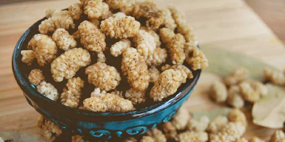 توت خشک بخورید تا سلامت باشید - دانستنی های ورزشی توت خشک بخورید تا سلامت باشید