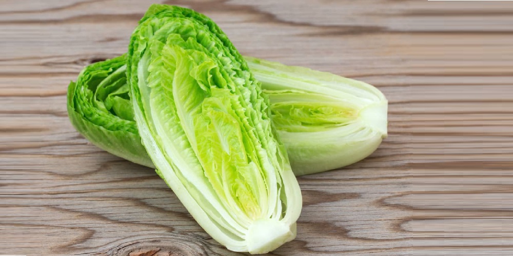 خواب راحت و کاهش وزن با مصرف کاهو - دانستنی های ورزشی خواب راحت و کاهش وزن با مصرف کاهو