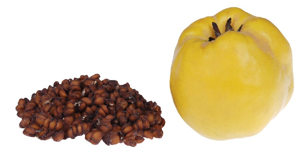 درمان بیماری ها با دانه های به - دانستنی های ورزشی درمان بیماری ها با دانه های به