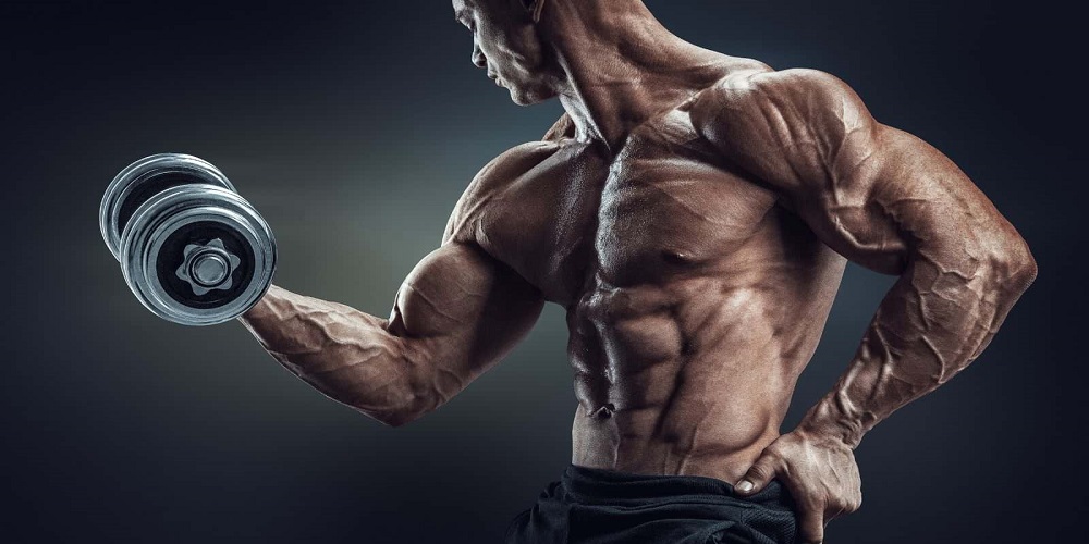 راهکارهای برجسته کردن رگ ها - دانستنی های ورزشی راهکارهای برجسته کردن رگ ها