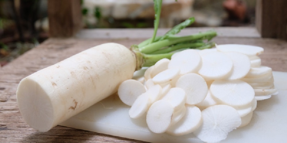 رفع شوره سر و درمان کم خونی با مصرف ترب سفید - دانستنی های ورزشی رفع شوره سر و درمان کم خونی با مصرف ترب سفید