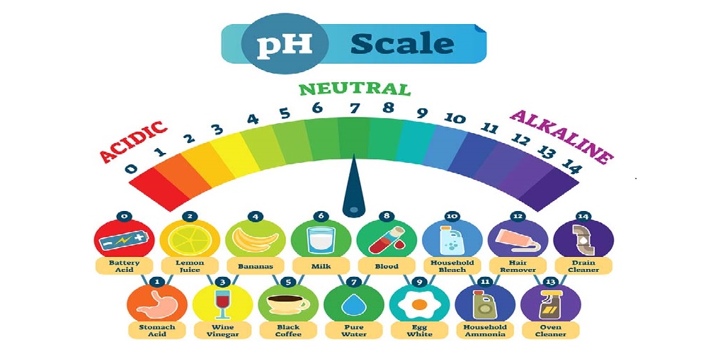رژیم لاغری آلکالاین چیست ؟ - دانستنی های ورزشی رژیم لاغری آلکالاین چیست ؟