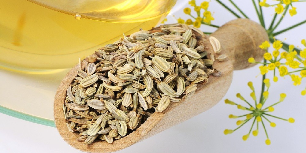 فواید عرق رازیانه - دانستنی های ورزشی فواید عرق رازیانه