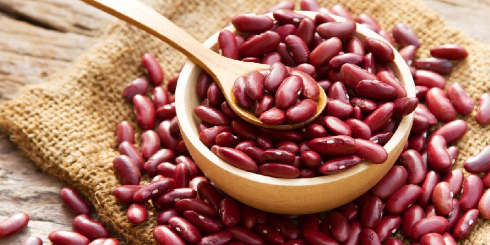 لوبیا قرمز و این همه خاصیت - دانستنی های ورزشی لوبیا قرمز و این همه خاصیت