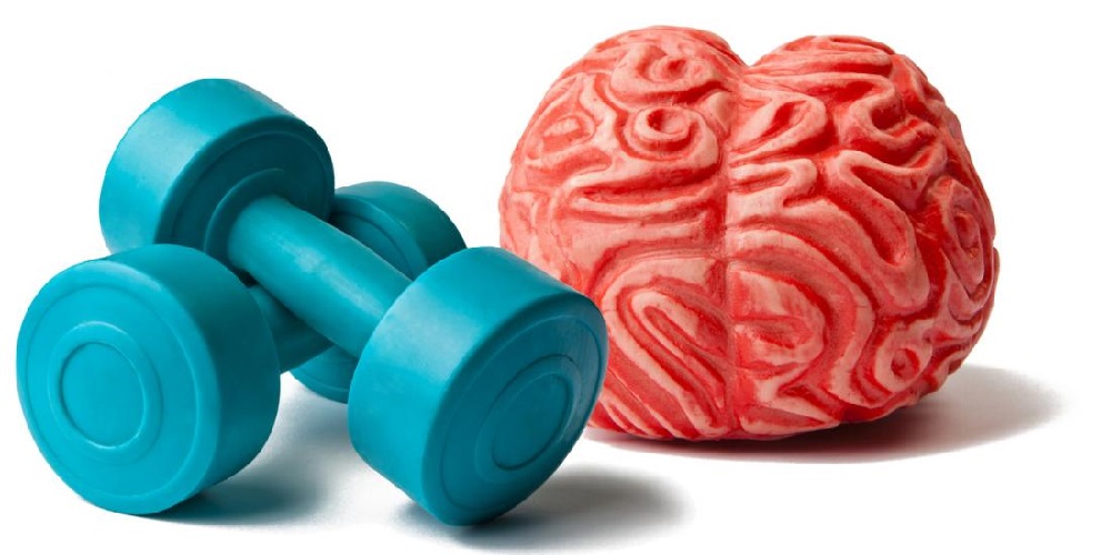 بهبود عملکرد مغز با ورزش