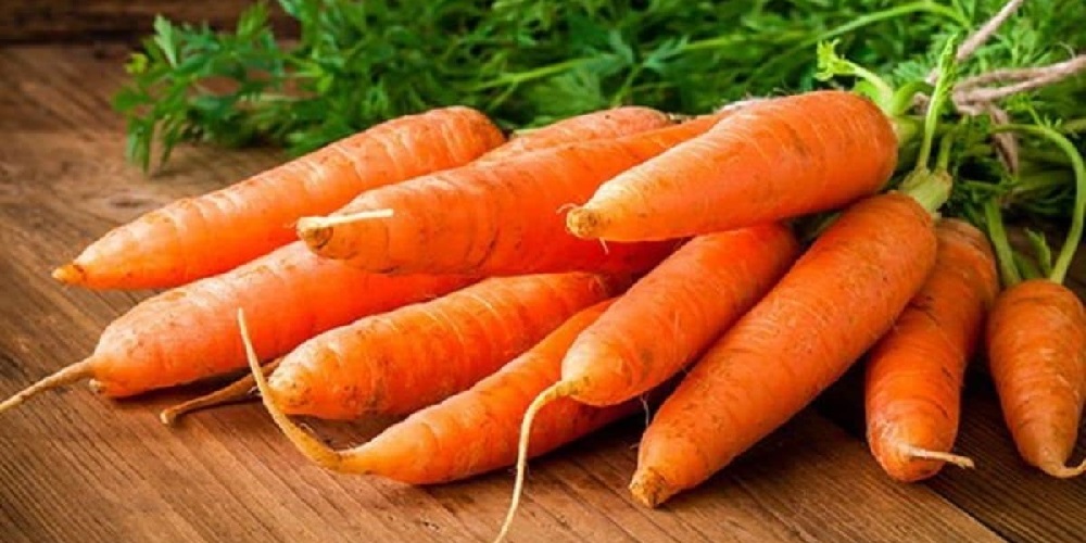 هویج را از برنامه غذایی حذف نکنید