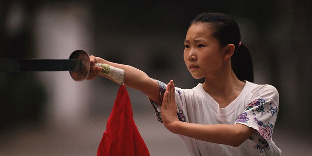 آشنایی با ورزش ووشو و سبک های آن - دانستنی های ورزشی آشنایی با ورزش ووشو و سبک های آن