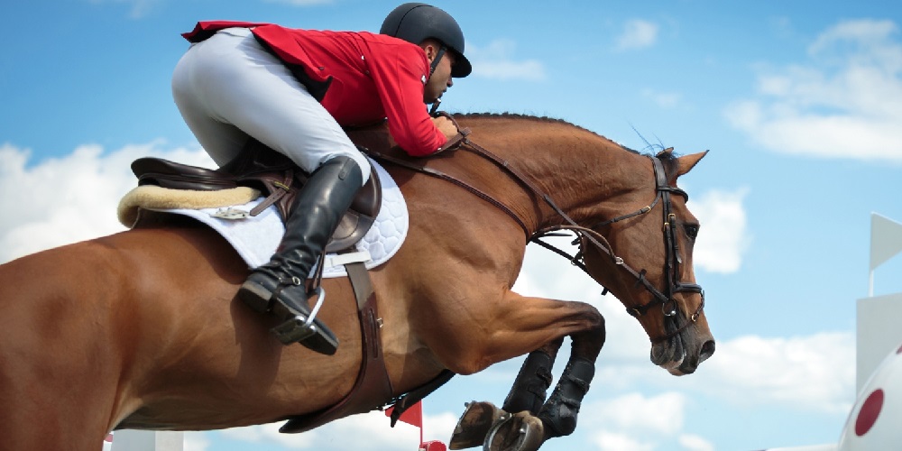 نگاهی به نکات مهم در آموزش سوارکاری - دانستنی های ورزشی نگاهی به نکات مهم در آموزش سوارکاری