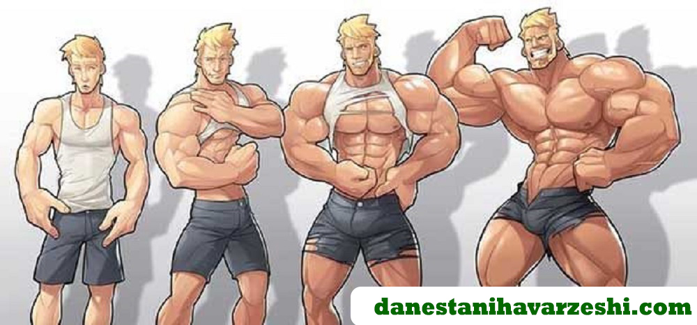 مدت زمان تاثیر بدنسازی بر بدن – عضله سازی چقدر طول میکشد؟ - اخبار دانستنی های ورژشی مدت زمان تاثیر بدنسازی بر بدن – عضله سازی چقدر طول میکشد؟