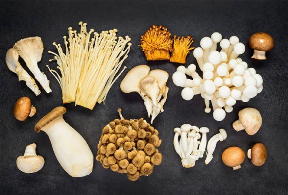 بتاگلوکان چیست؟ فواید و منابع بتاگلوکان - دانستنی های ورزشی بتاگلوکان چیست؟ فواید و منابع بتاگلوکان