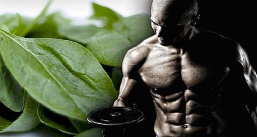 فواید اسفناج برای ورزشکاران و نقش آن در عضله سازی