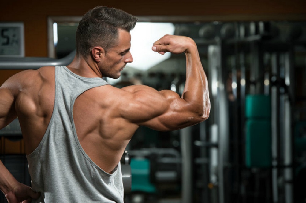 کدام عضلات را با هم تمرین دهیم؟