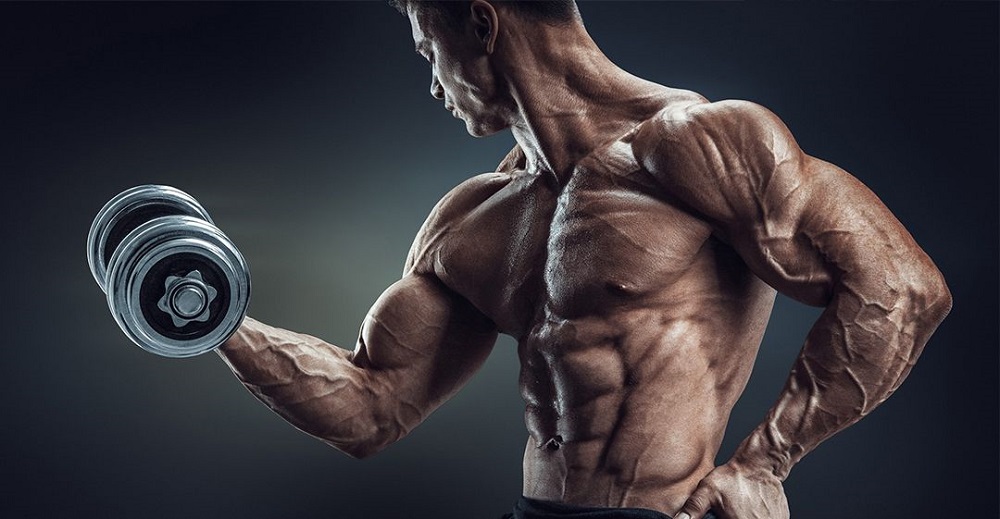 کدام عضلات را با هم تمرین دهیم؟ - دانستنی های ورزشی کدام عضلات را با هم تمرین دهیم؟