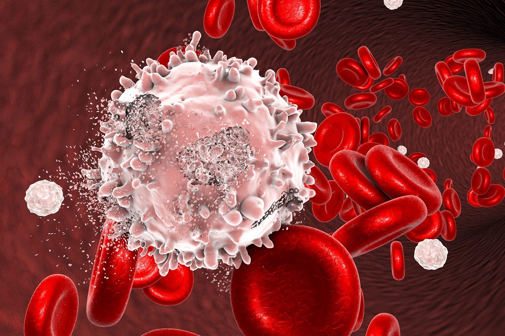 انواع سلول های خون