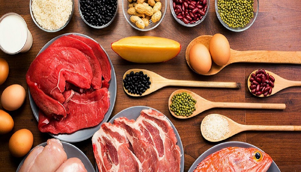 پروتئین کامل چیست؟ چه مواد غذایی پروتئین کامل هستند؟