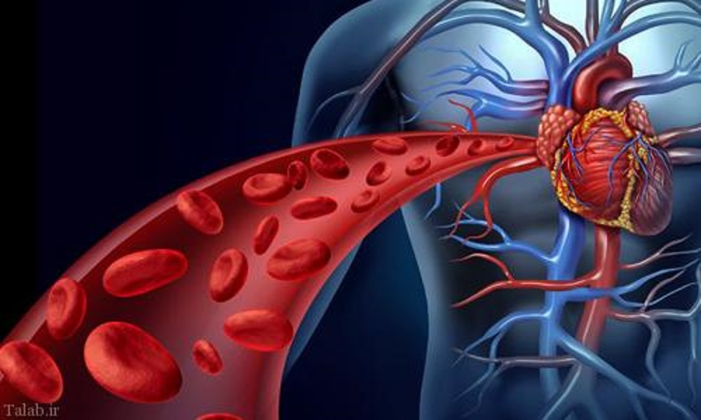 تأثیرات ورزش بر دستگاه گردش خون - دانستنی های ورزشی تأثیرات ورزش بر دستگاه گردش خون