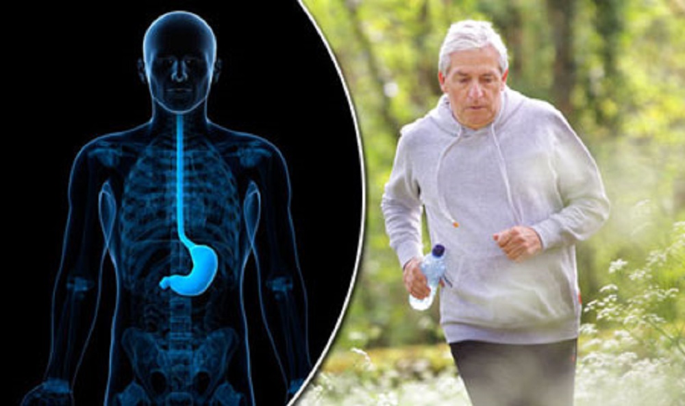 تاثیر ورزش بر سلامت گوارش - دانستنی های ورزشی تاثیر ورزش بر سلامت گوارش