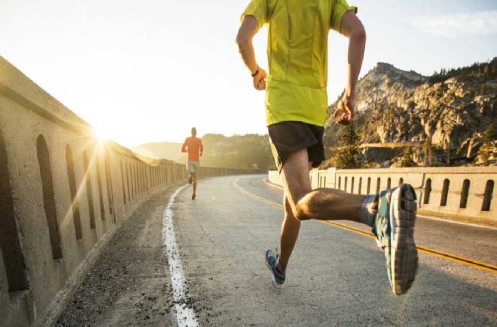 منشاء و موضوع فيزيولوژی ورزش و فعاليت های بدنی - دانستنی های ورزشی منشاء و موضوع فيزيولوژی ورزش و فعاليت های بدنی