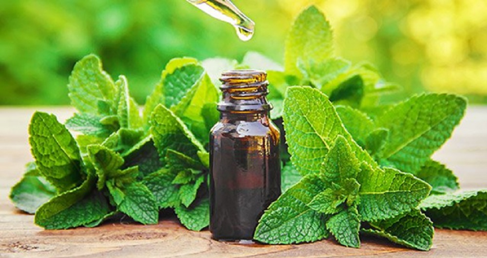 چگونه نعنا میتواند عملکرد ورزشی را تقویت کند؟ - دانستنی های ورزشی چگونه نعنا میتواند عملکرد ورزشی را تقویت کند؟