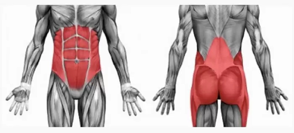 عضلات مرکزی بدن کدامند و چگونه تقویت شوند؟
