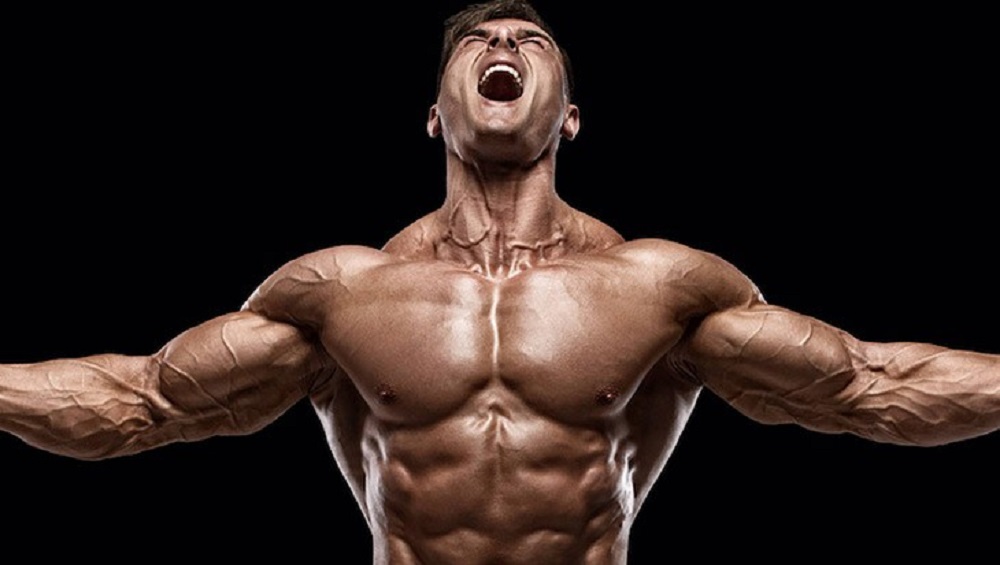 استرس متابولیک چیست و چه نقشی در رشد عضله دارد؟