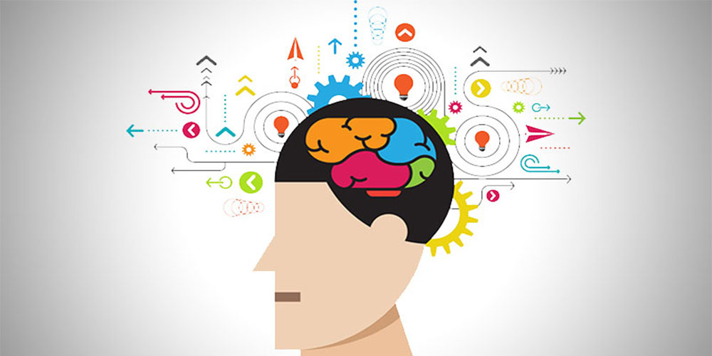 سیستم های سه گانه حافظه - دانستنی های ورزشی سیستم های سه گانه حافظه