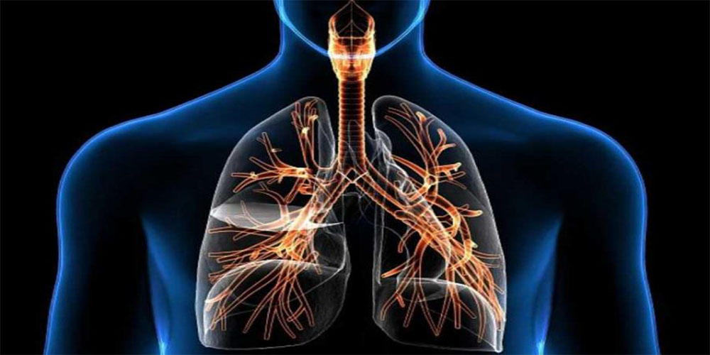 فیزیولوژی دستگاه تنفس 