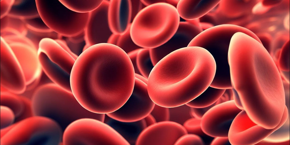 گلبول های قرمز خون - دانستنی های ورزشی گلبول های قرمز خون