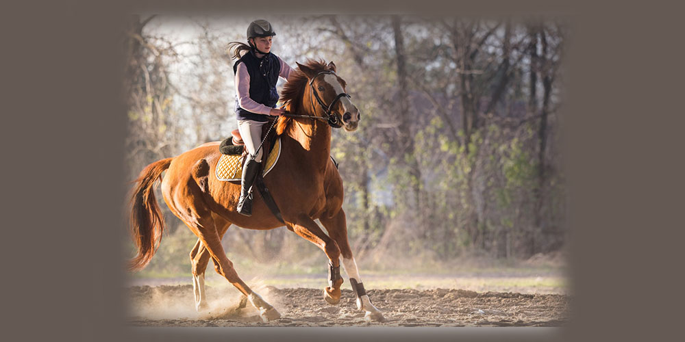 سوارکاری و فواید آن برای تناسب اندام و روان - دانستنی های ورزشی سوارکاری و فواید آن برای تناسب اندام و روان