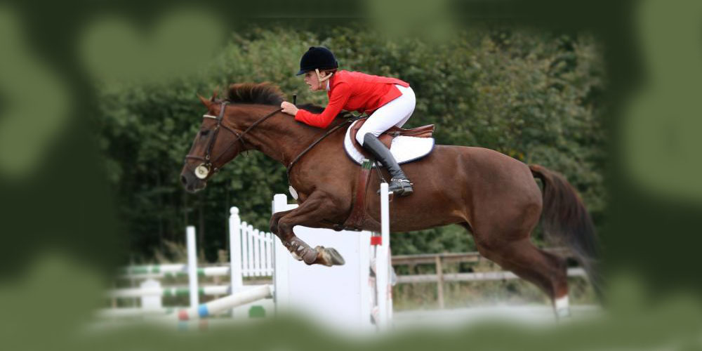 فواید سوارکاری برای بانوان - دانستنی های ورزشی فواید سوارکاری برای بانوان