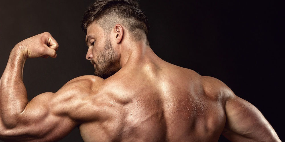 هر گروه عضلانی را چند بار در هفته باید تمرین بدهید؟ - دانستنی های ورزشی هر گروه عضلانی را چند بار در هفته باید تمرین بدهید؟