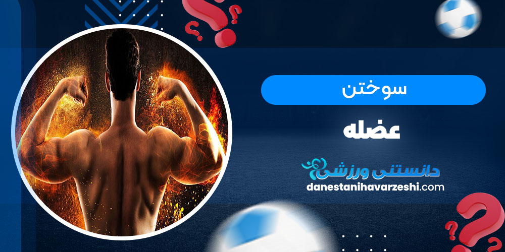 سوختن عضله - دانستنی های ورزشی سوختن عضله