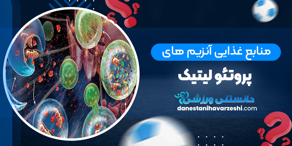 منابع غذایی آنزیمهای پروتئولیتیک - دانستنی های ورزشی منابع غذایی آنزیمهای پروتئولیتیک