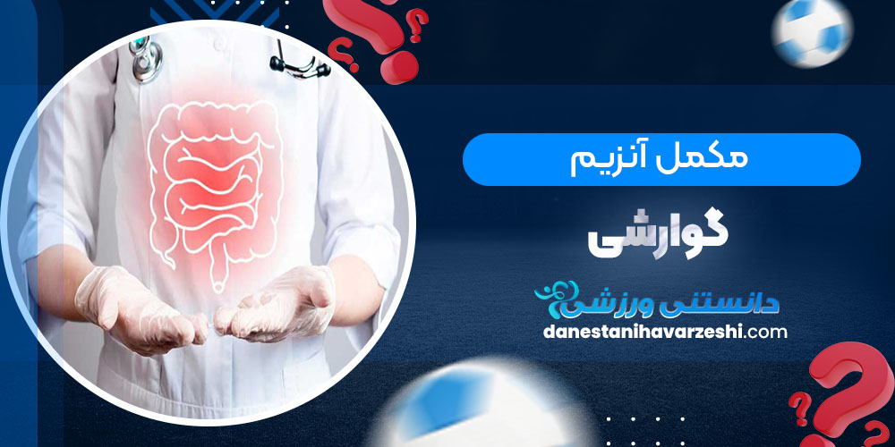 مکمل آنزیم گوارشی - دانستنی های ورزشی مکمل آنزیم گوارشی