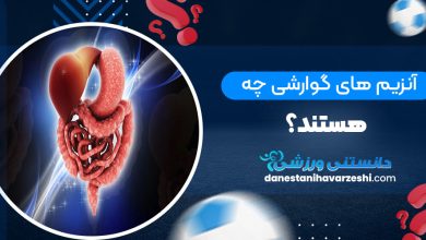 آنزیم های گوارشی چه هستند؟