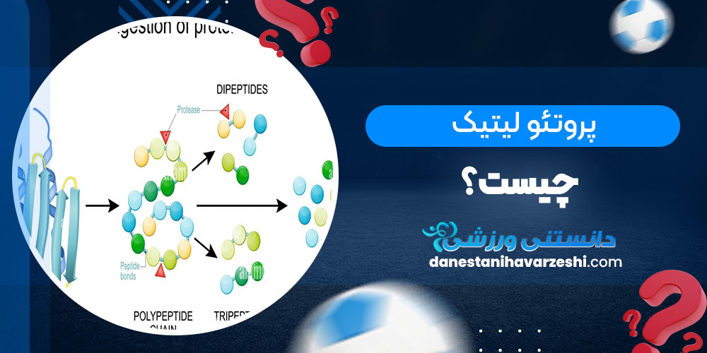 پروتئولیتیک چیست؟