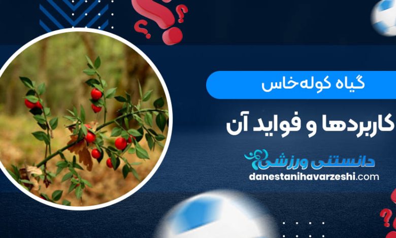 گیاه کوله‌خاس؛ کاربردها و فواید آن