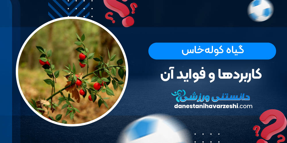 گیاه کوله‌خاس؛ کاربردها و فواید آن