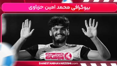 بیوگرافی محمد امین حزباوی