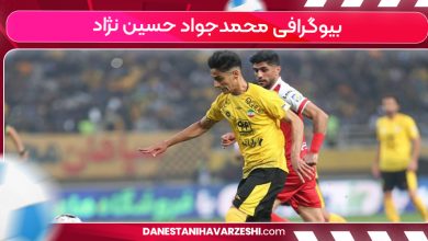 بیوگرافی محمدجواد حسین نژاد