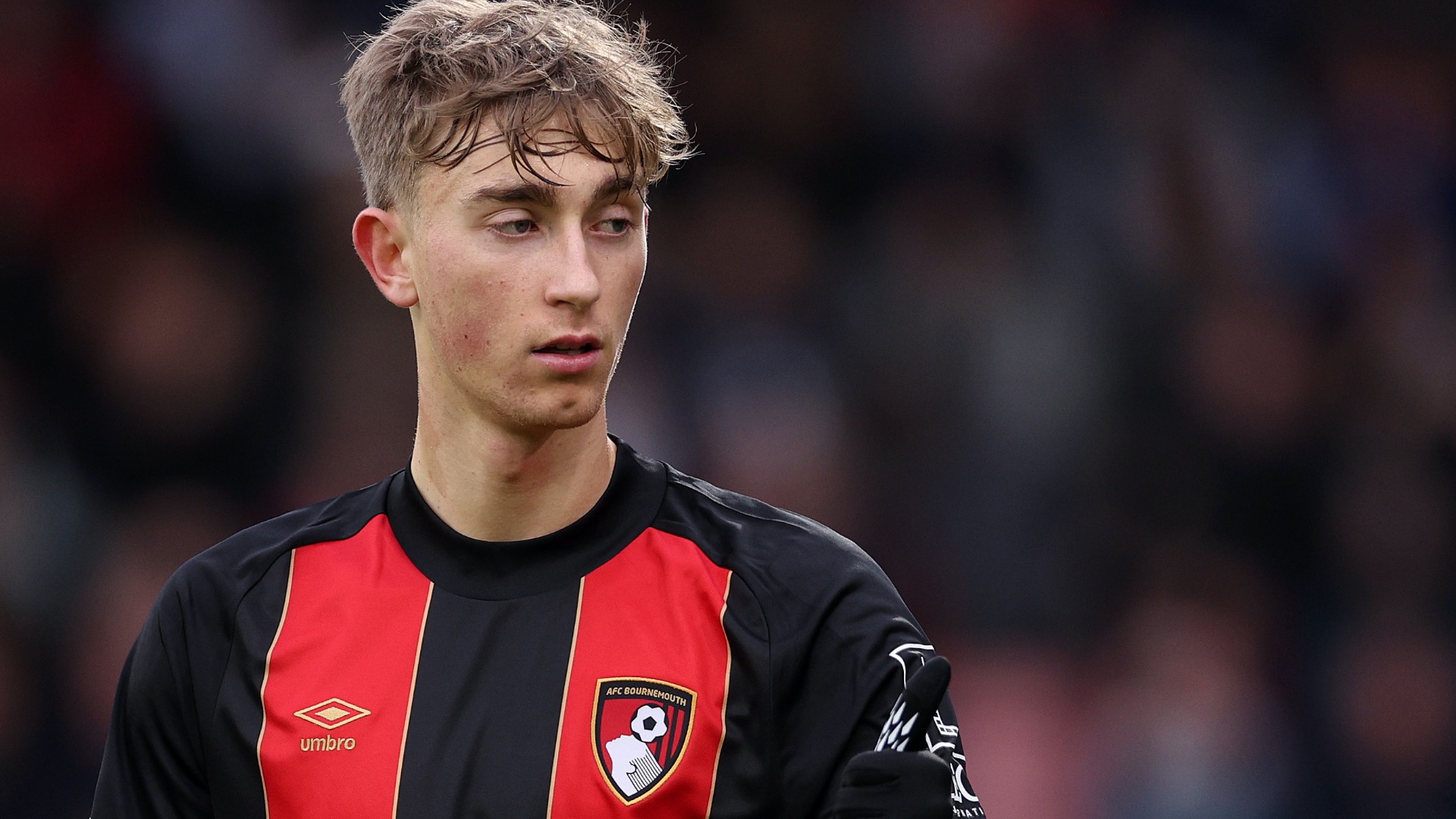 عکس های دین هویسن