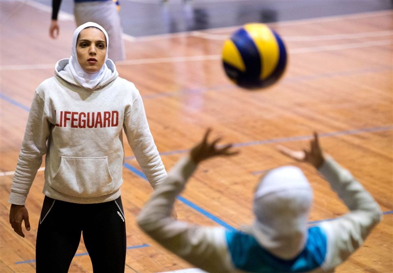 مائده برهانی