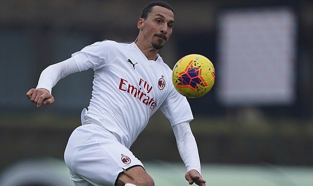 بهترین گل قیچی برگردون دنیا - دانستنی ها بهترین گل قیچی برگردون دنیا