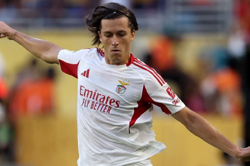 بیوگرافی آلوارو کارراس - دانستنی ها بیوگرافی آلوارو کارراس