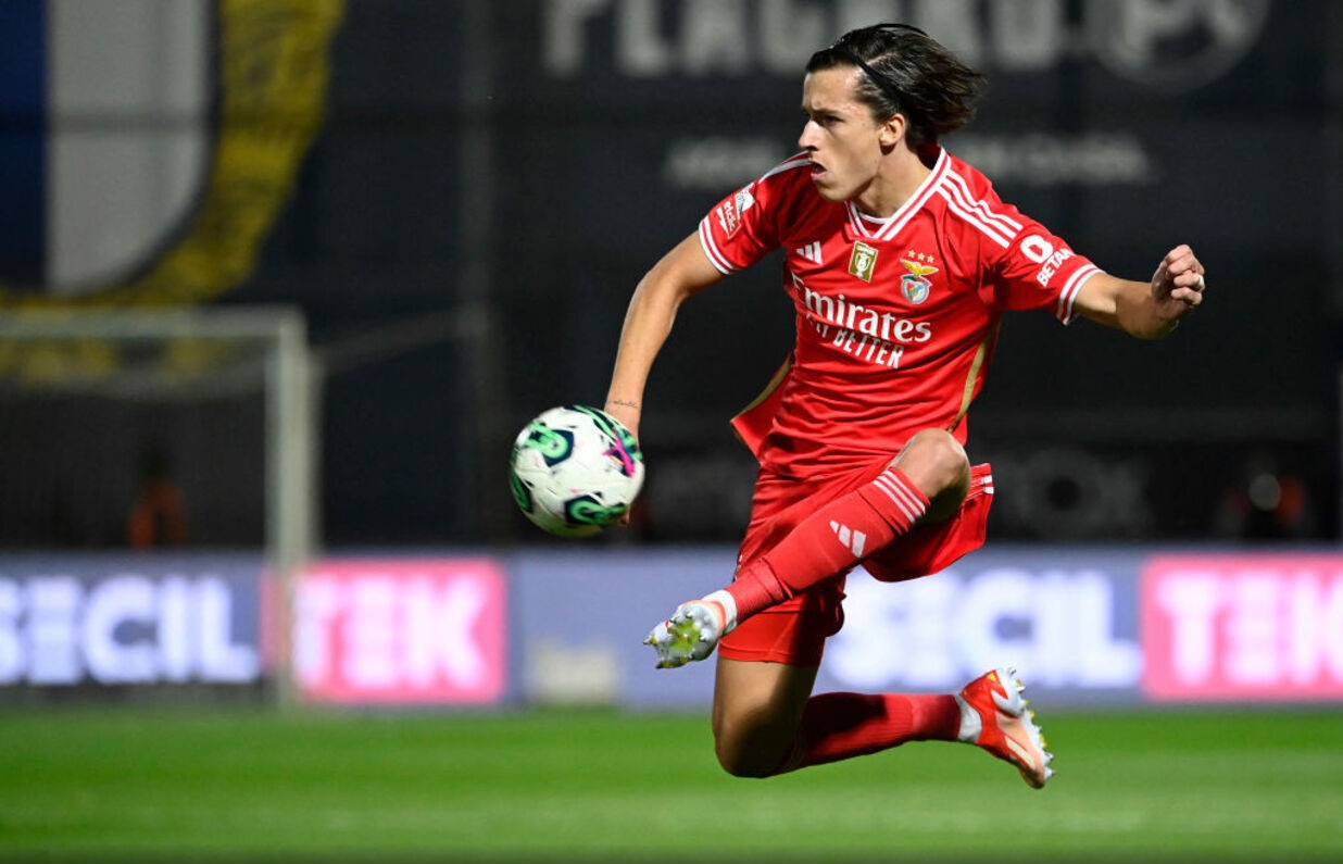 عکس آلوارو فرناندز فوتبالیست - دانستنی ها عکس آلوارو فرناندز فوتبالیست